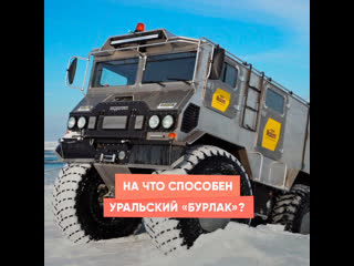 what is the ural "burlak" capable of?